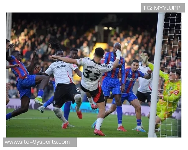 水晶宫冬窗计划引进博伊转会费预计达1300万英镑