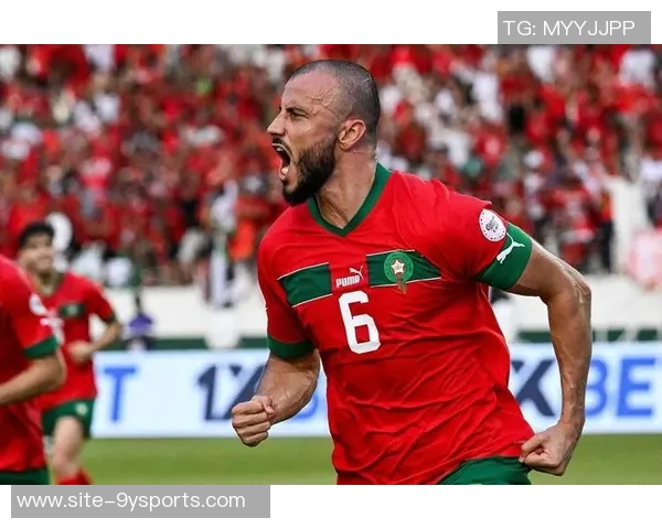 摩洛哥足协部分成员呼吁重赛非洲杯决赛加时赛引发热议